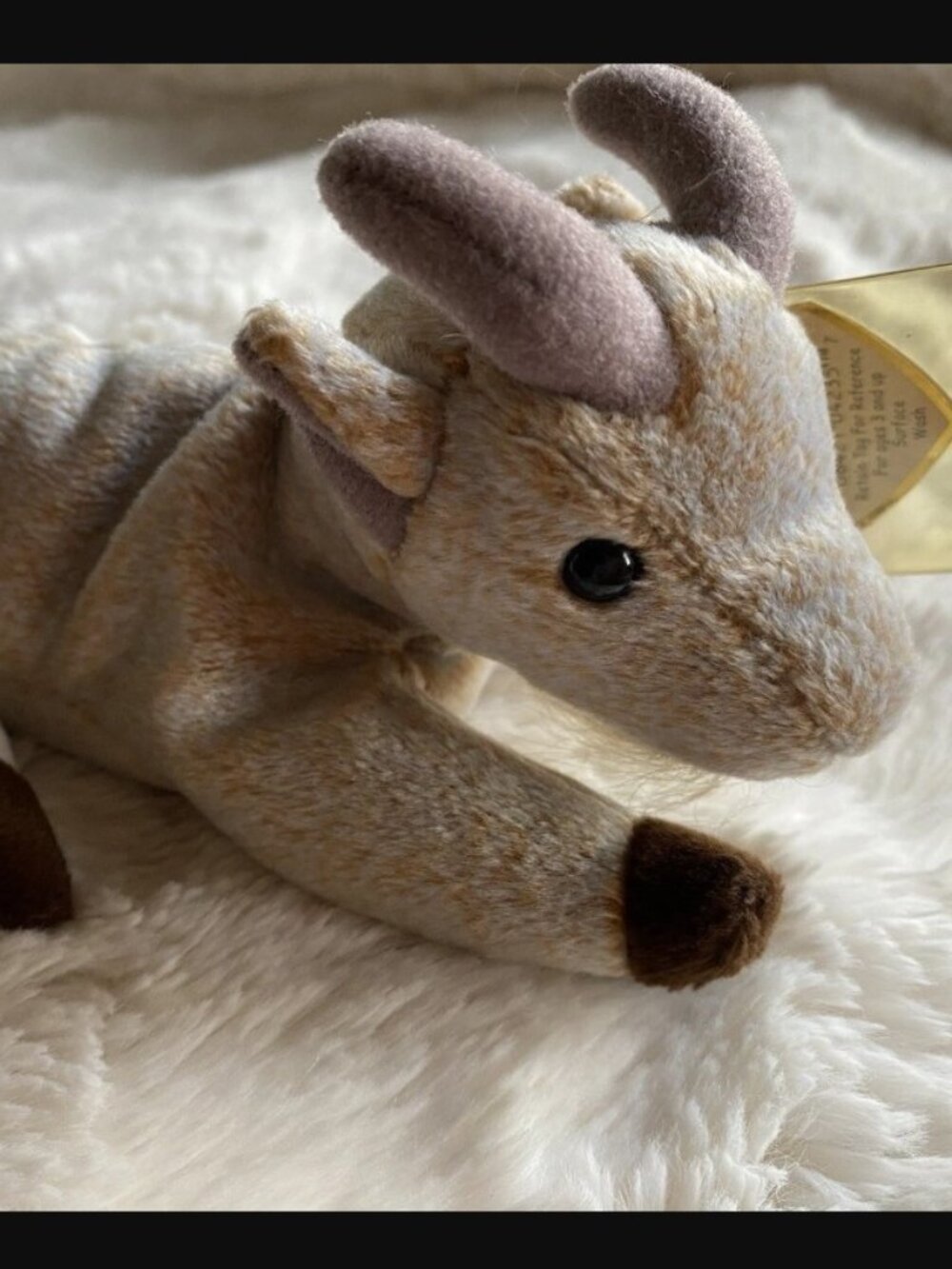 Beanie Baby - Goatee